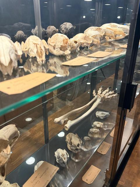 Quoll Headquarters Wildlife Sanctuary