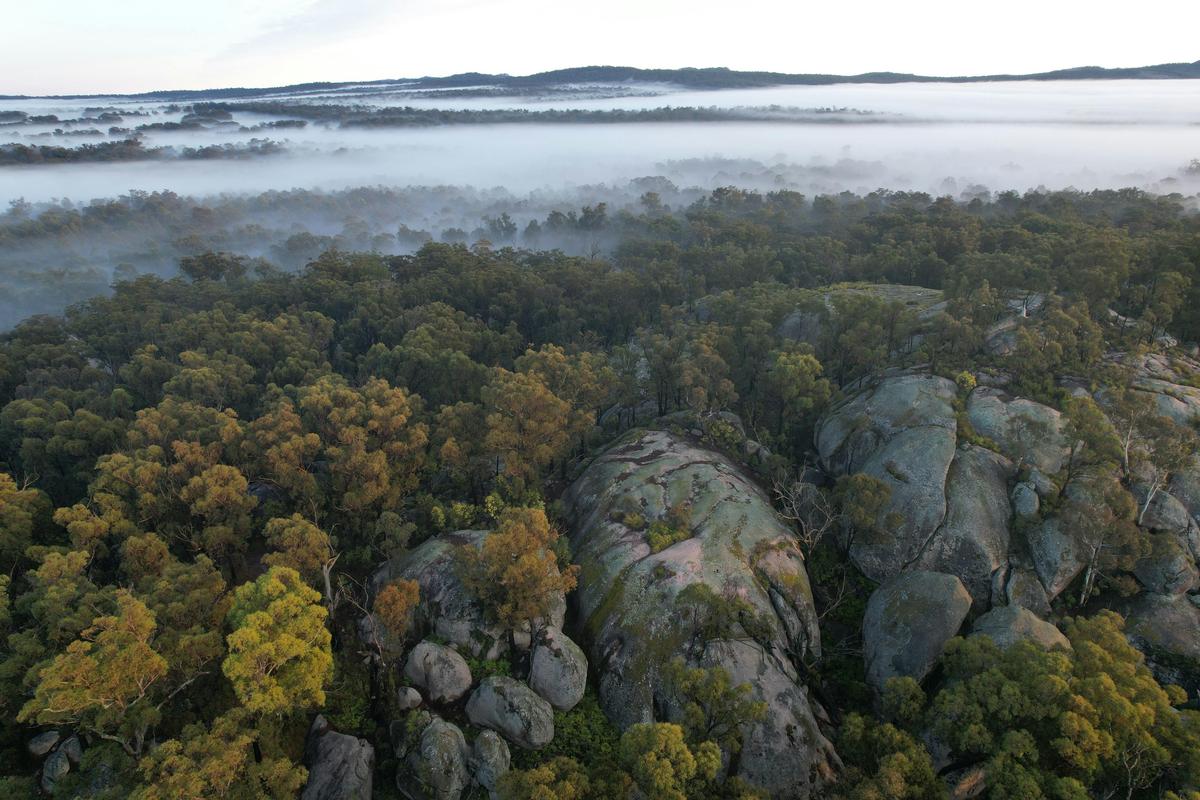 Quoll Headquarters Wildlife Sanctuary