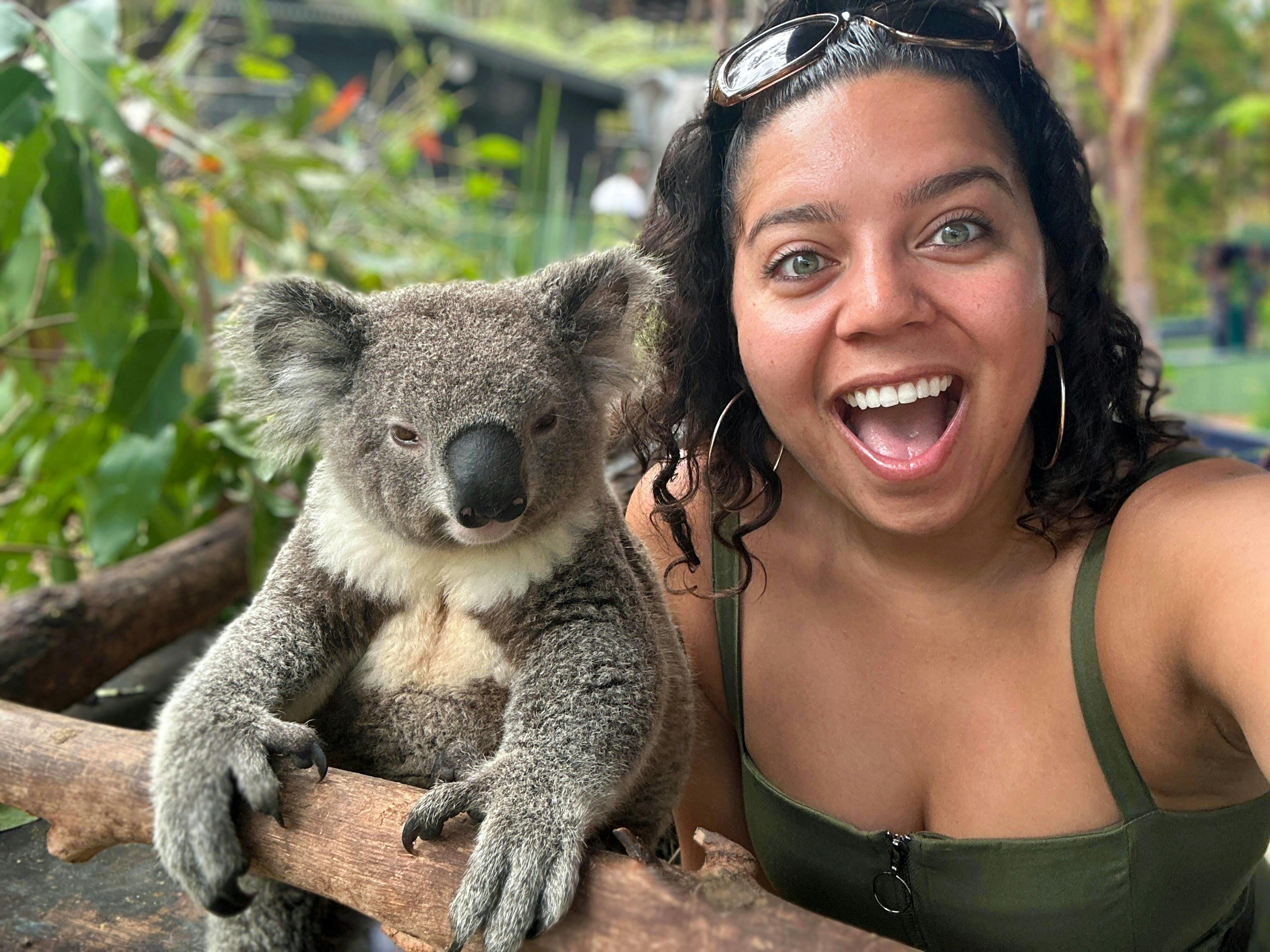 All guests have a private session with koalas