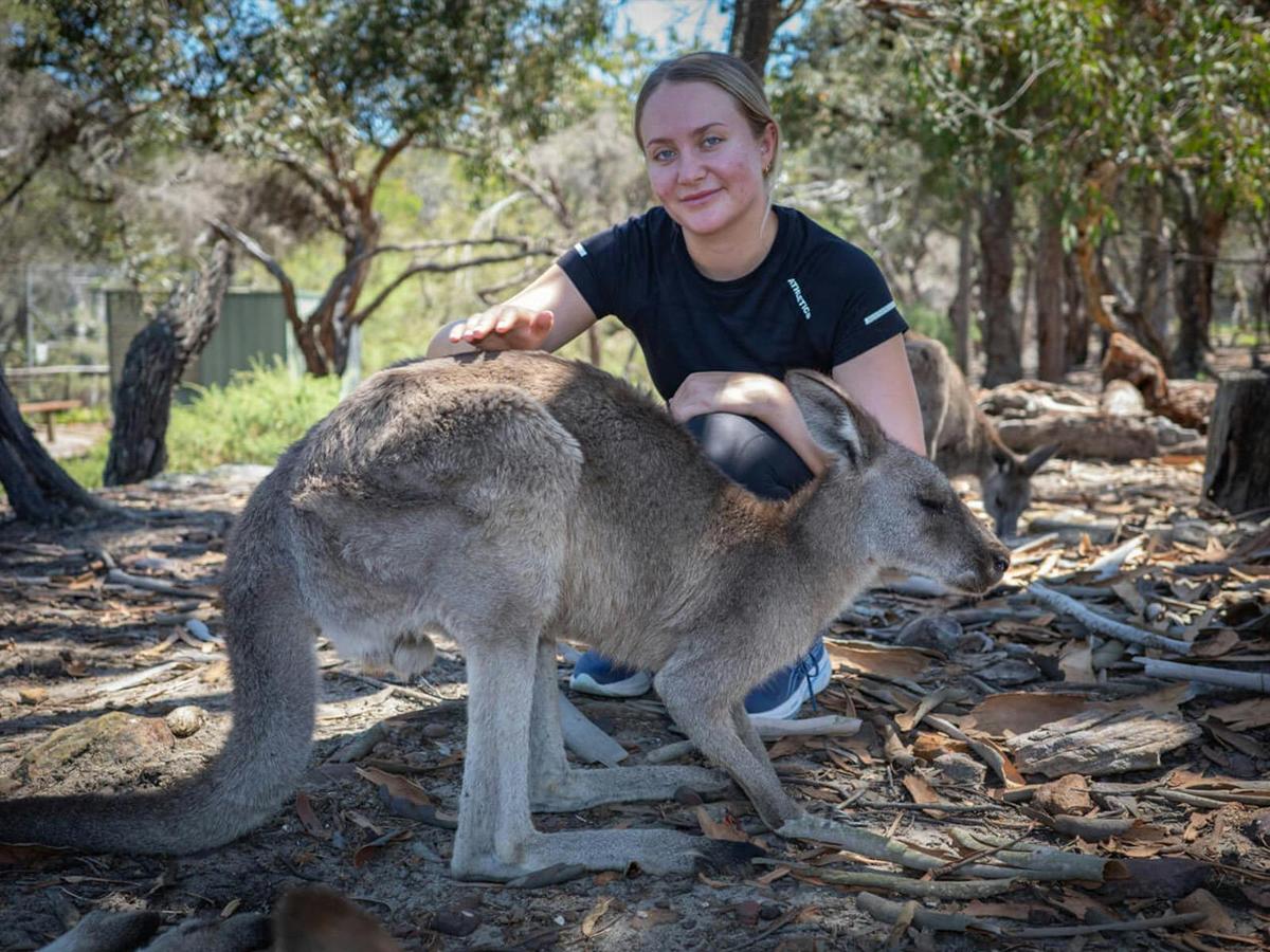 Making Mates with a Roo: A Truly Aussie Welcome