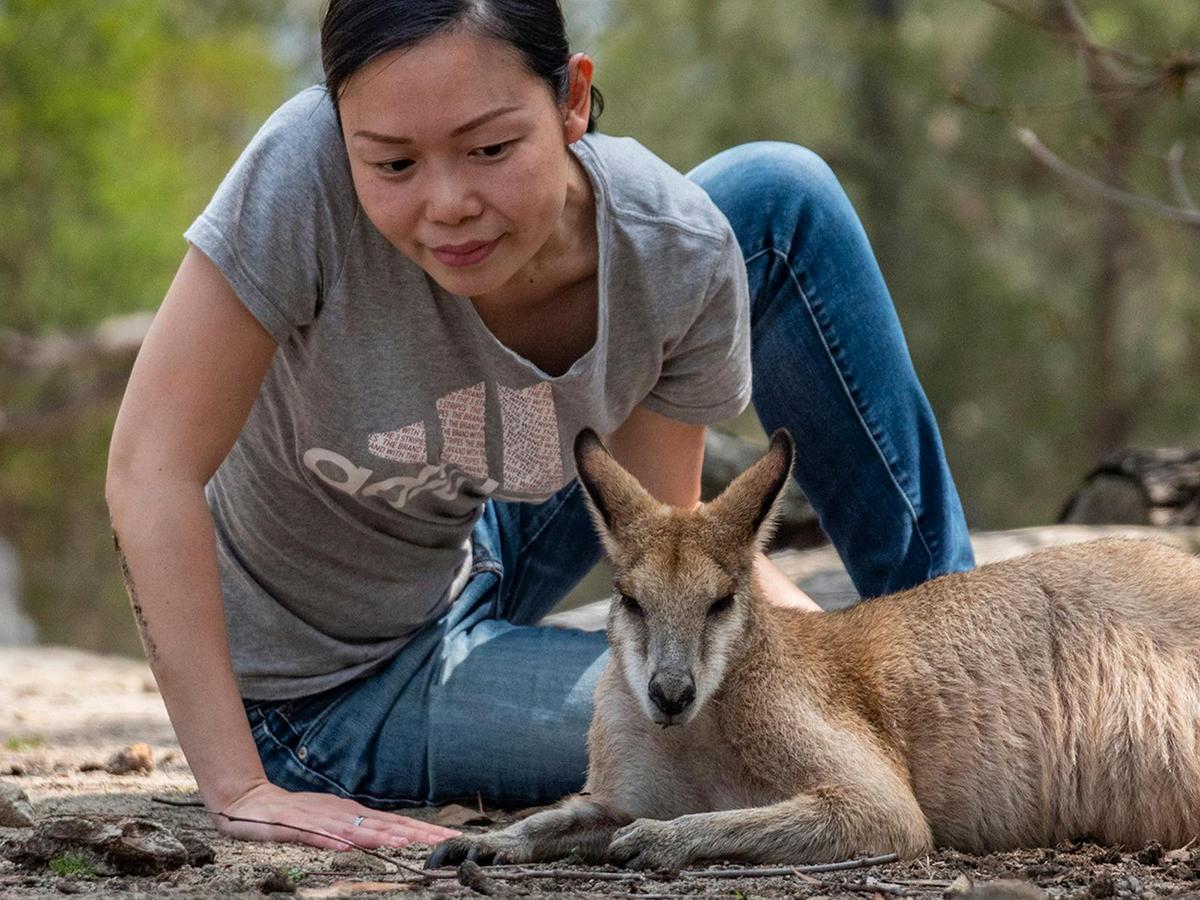 Kangaroos, wallabies and emus love a good pat!