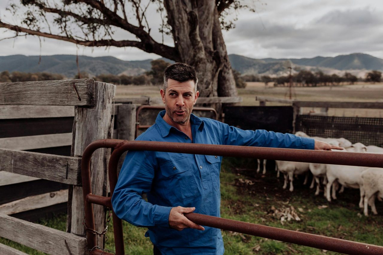 Farmer Mick shows sheep