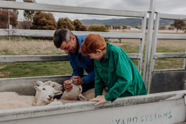 Wallinga Farm Tours - Mudgee