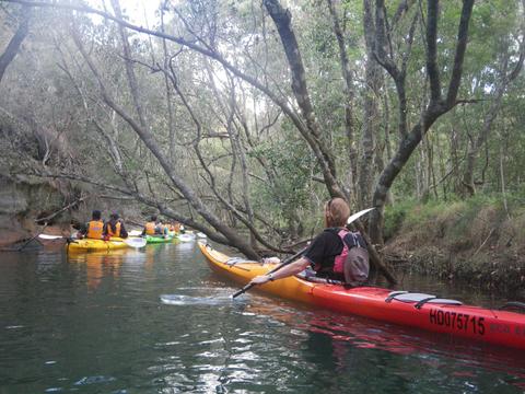 Southern Cross Kayaking Middle Harbour Sydney Guided Kayak Tour