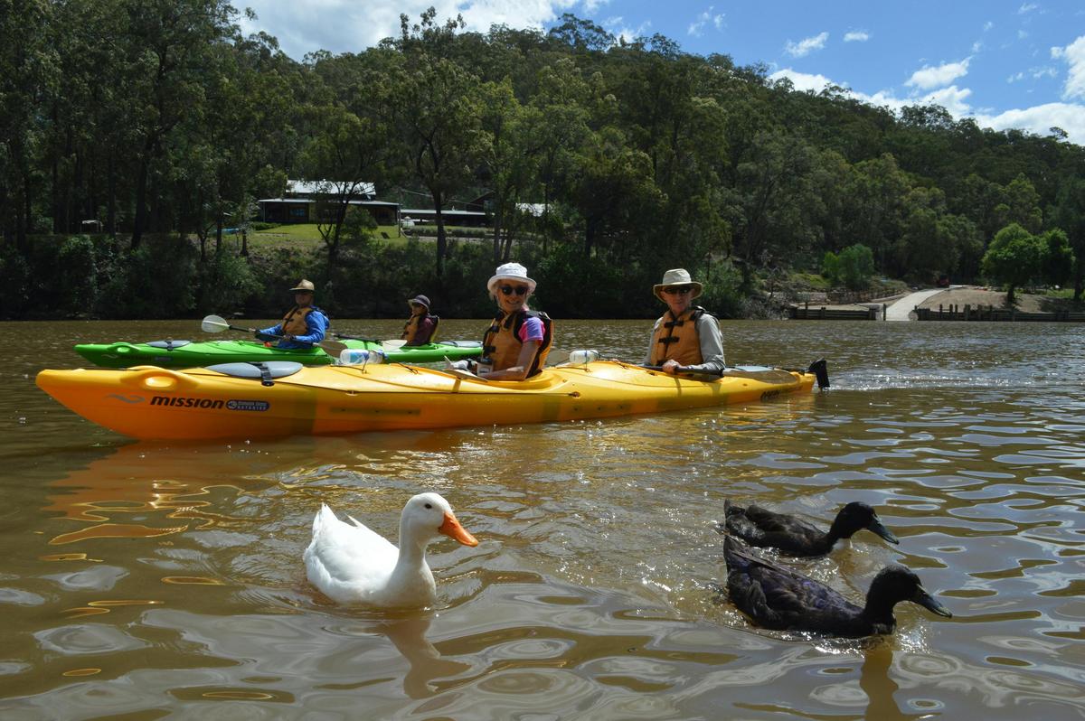 Southern Cross Kayaking Guided Kayak Tour - Colo River