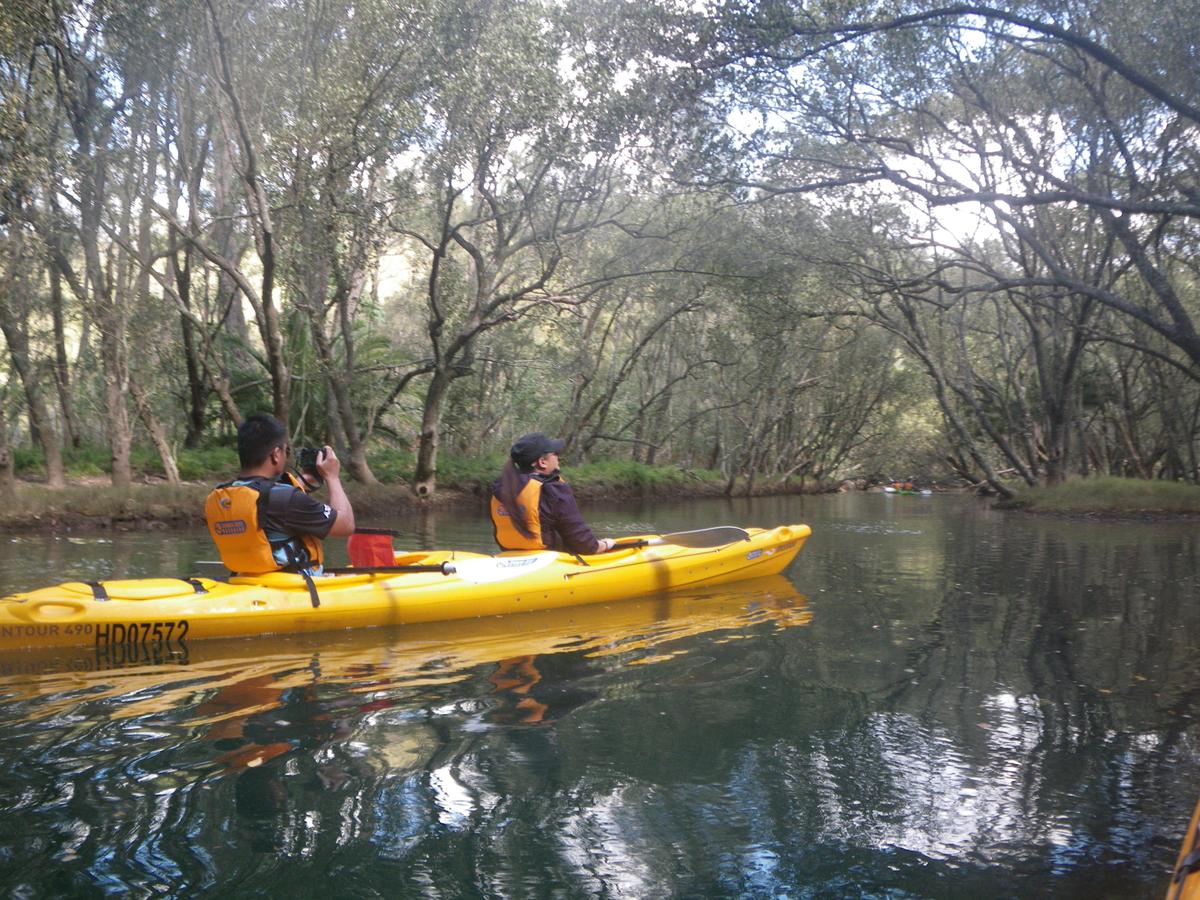 Southern Cross Kayaking Middle Harbour Sydney Guided Kayak Tour
