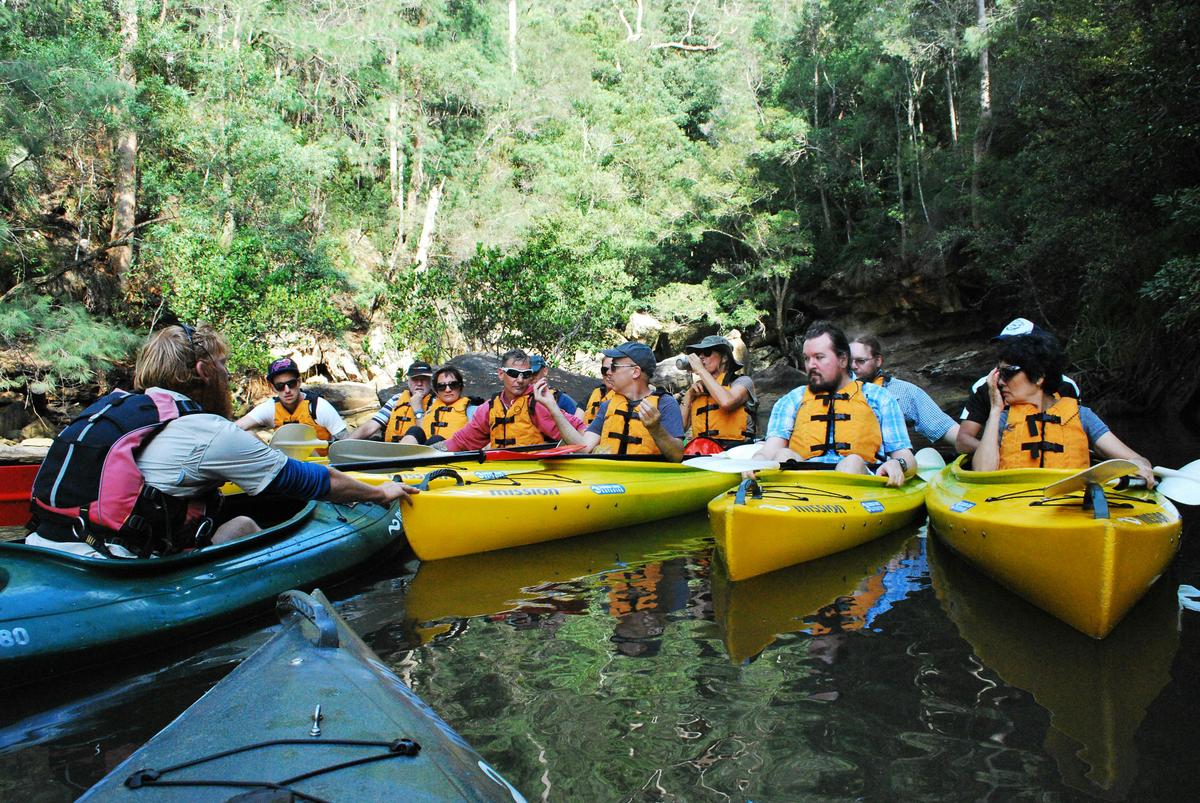 Southern Cross Kayaking Ku-ring-gai NP Kayak Tour
