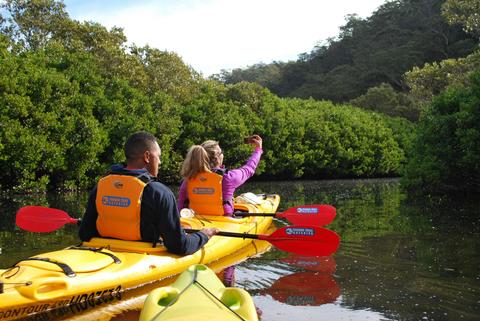 Southern Cross Kayaking - Berowra Tour