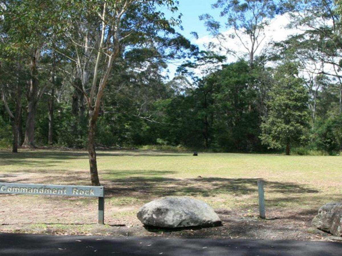 A grassy area surrounded by trees at Commandment Rock picnic area in Lane Cove National Park. Photo:
