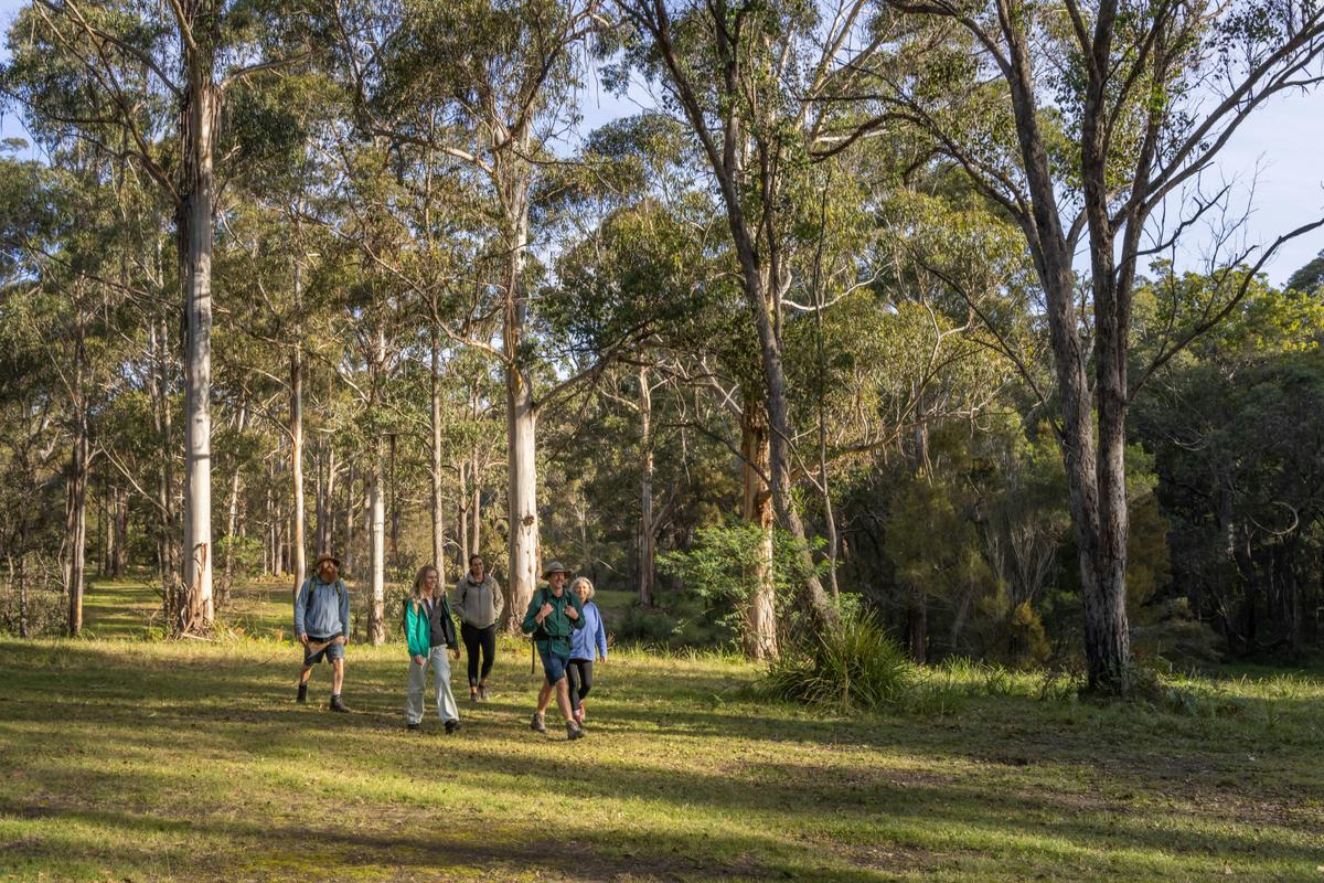 Enjoy different environments along the Wharf to Wharf walk