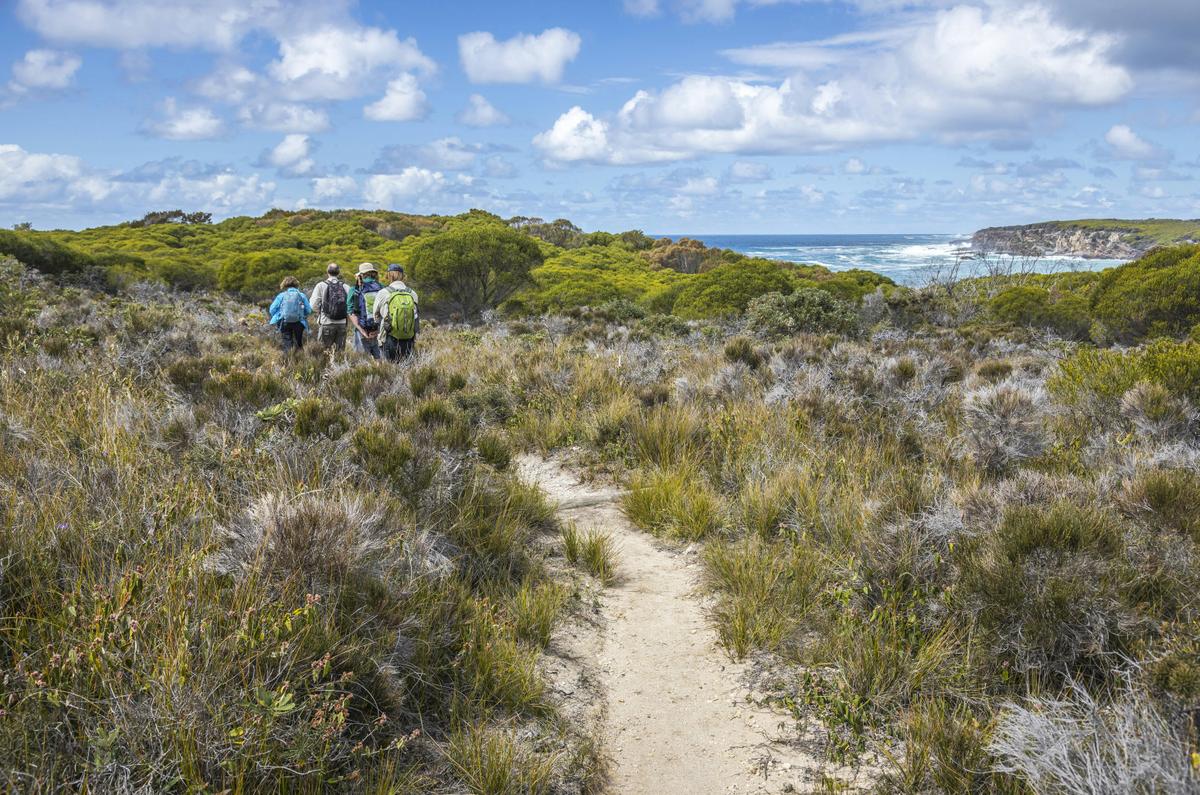 Walking through coastal heath