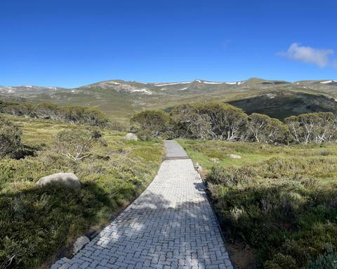 The Snowies Alpine Walk