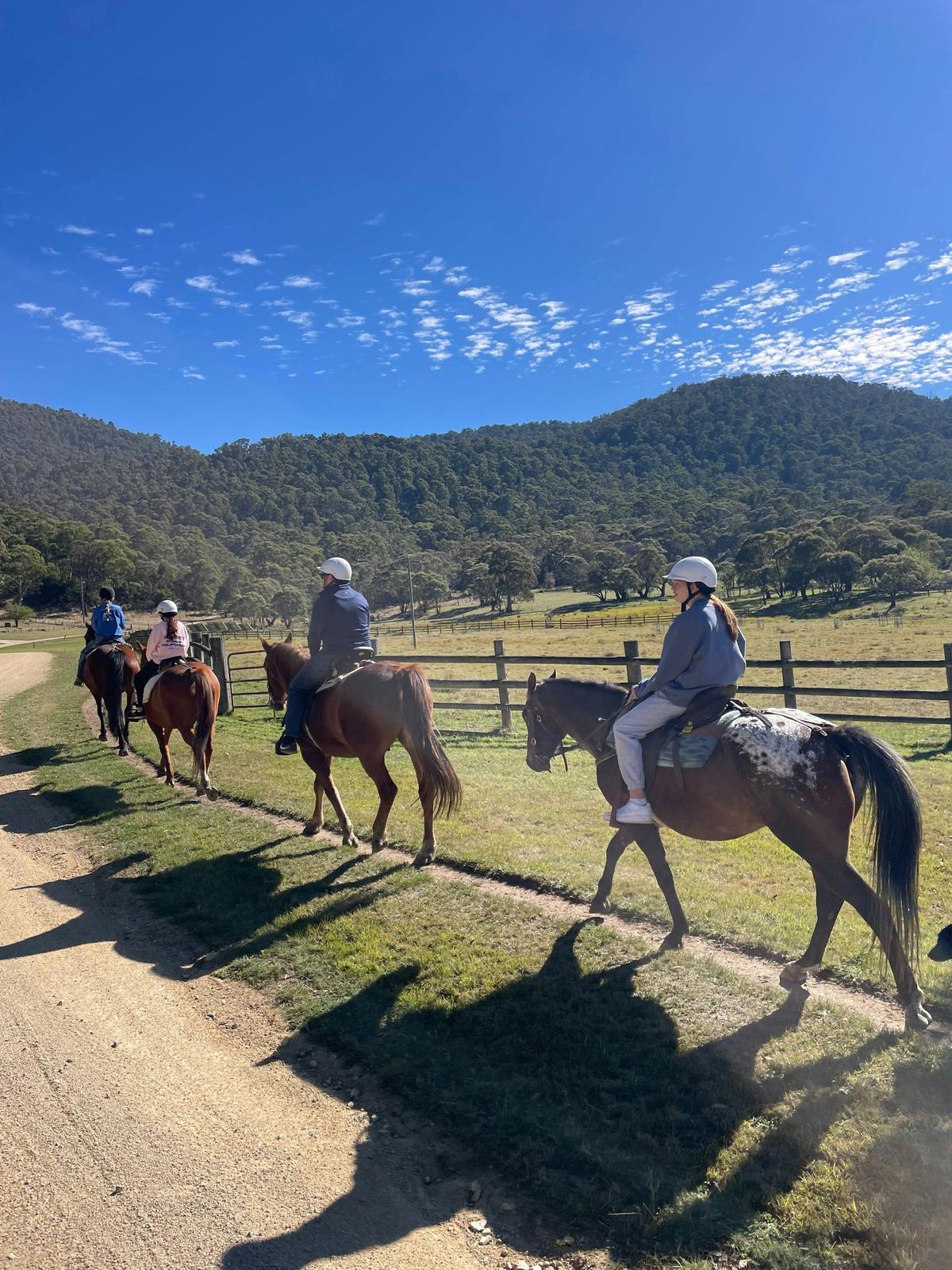 Thredbo Valley Horse Riding