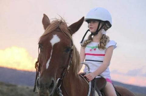 Pony Rides - for the littles