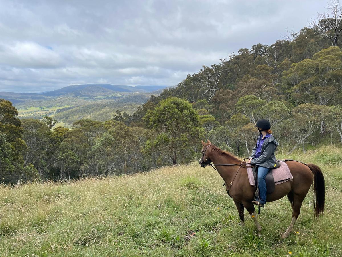 Thredbo Valley Horse Riding