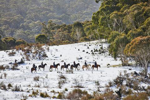 Thredbo Valley Horse Riding