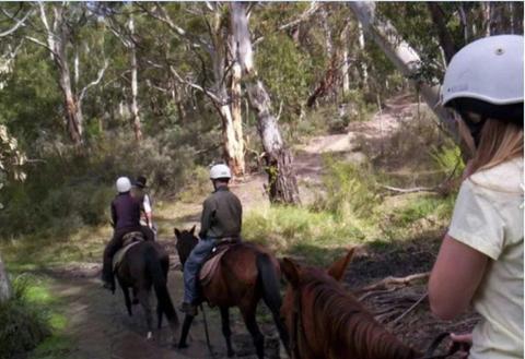 Come and enjoy some great Snowy Mountains scenery