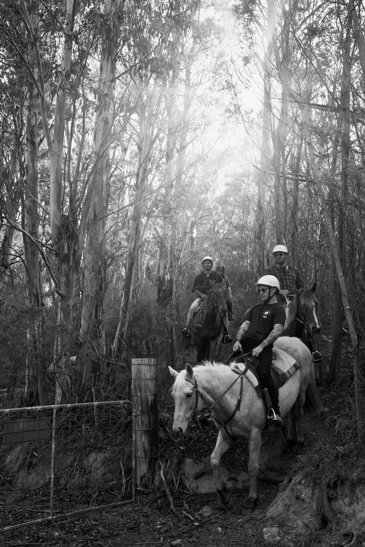 Thredbo Valley Horse Riding