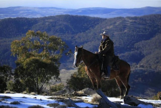Thredbo Valley Horse Riding
