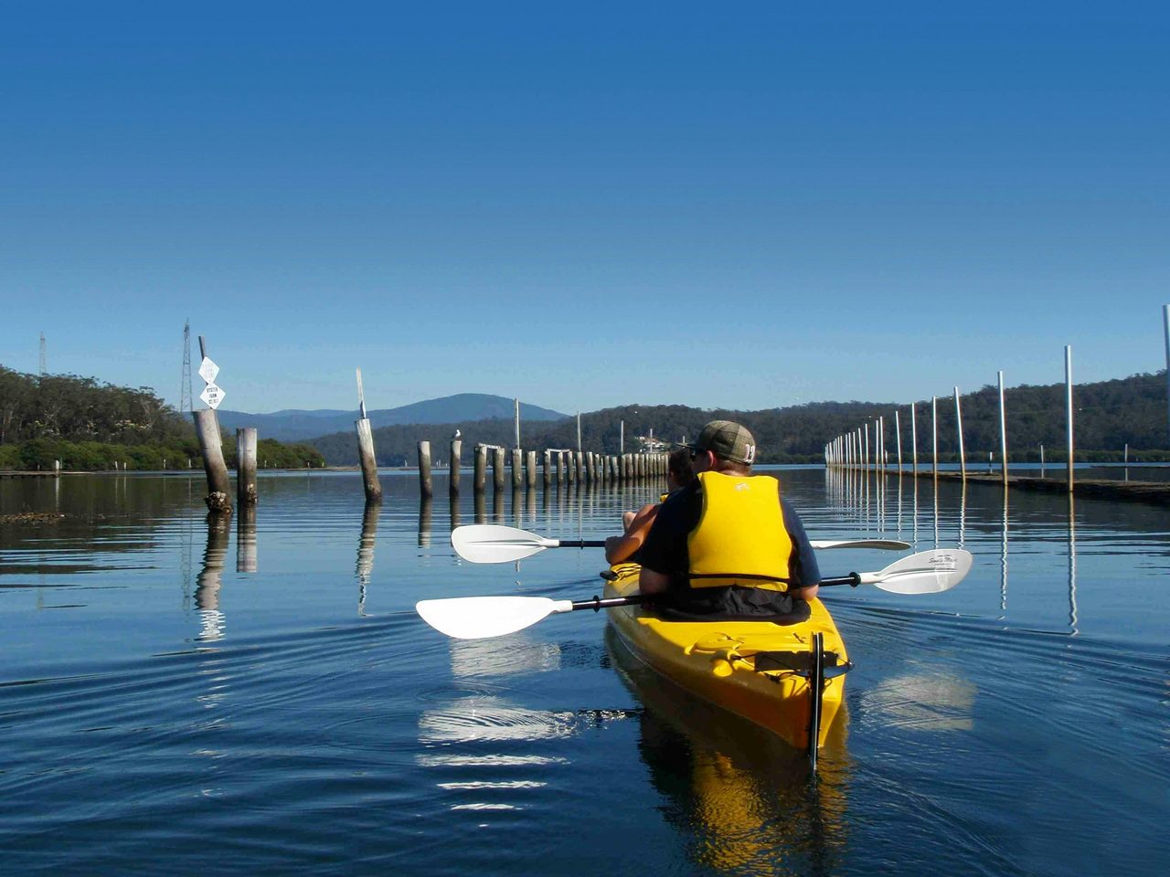 Oyster Farm Kayak Tour, Eurobodalla NSW Region X