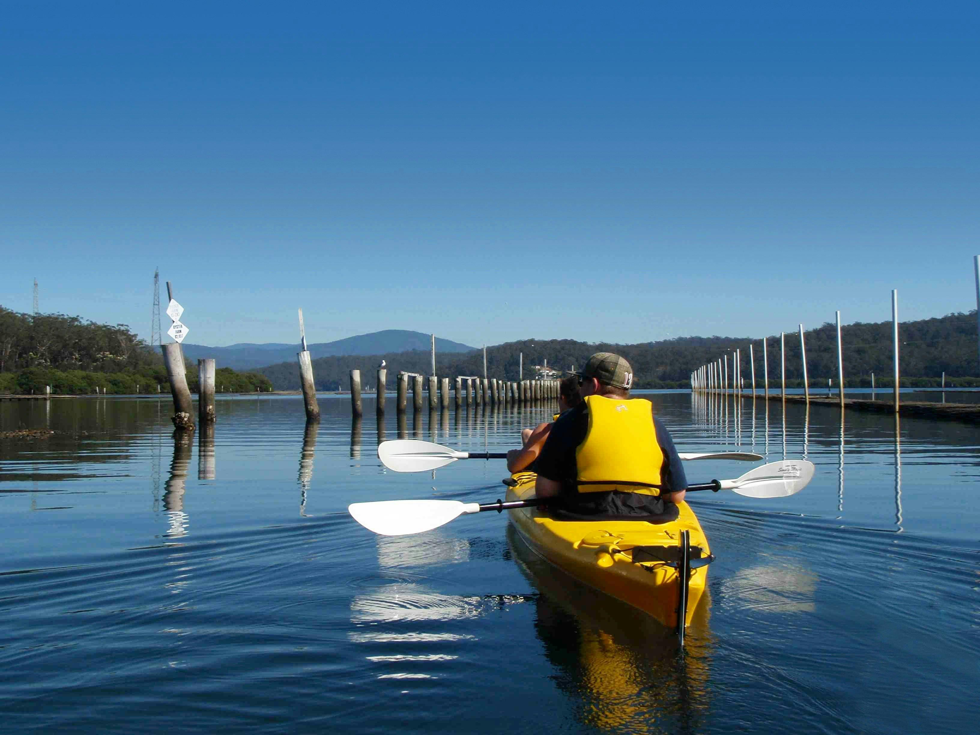 Oyster Farm Kayak Tour, Eurobodalla NSW Region X