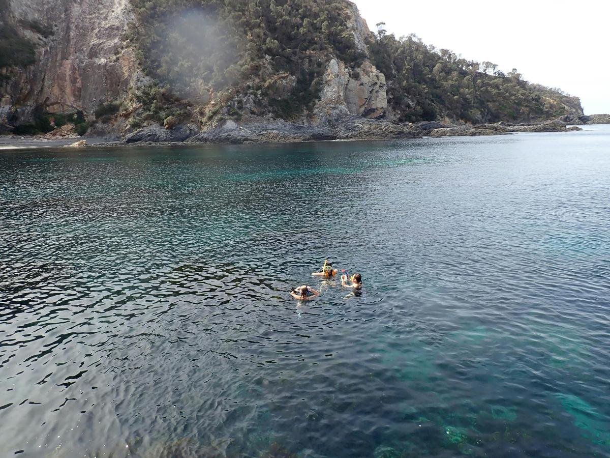 Kayak offshore and jump in for a snorkel!