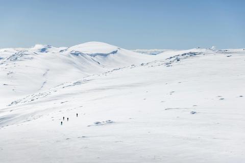Snowshoe Tours