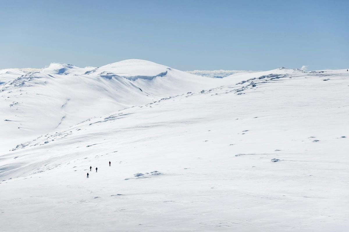 Snowshoe Tours