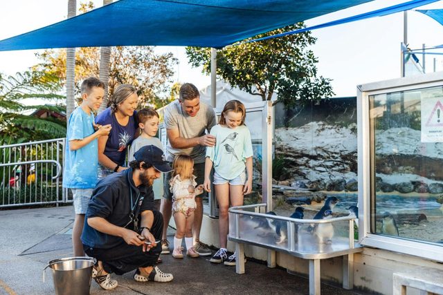Coffs Harbour Marina and Jetty Area