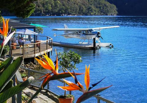 Lunch at Cottage Point Inn