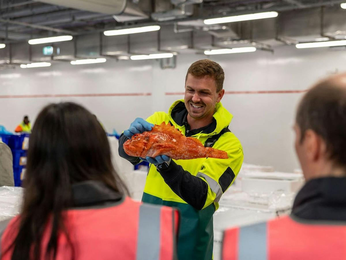 Behind the Scenes Tour