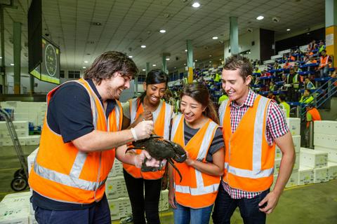 Tour guide shows guests a mud crab