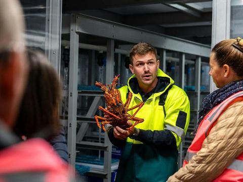 Behind the Scenes Tour