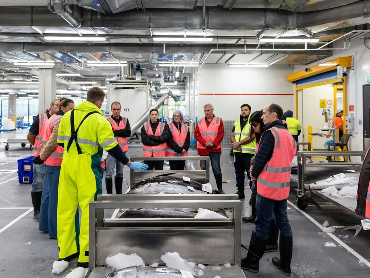 Behind the Scenes Tour