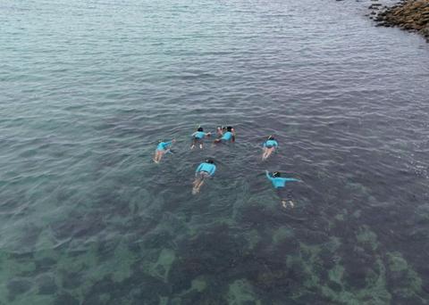 Snorkelling Shelly Beach