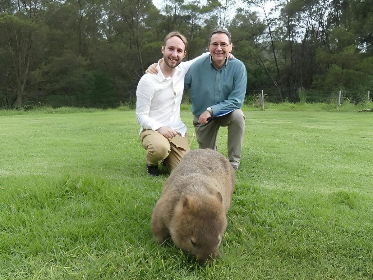 Wild wombats