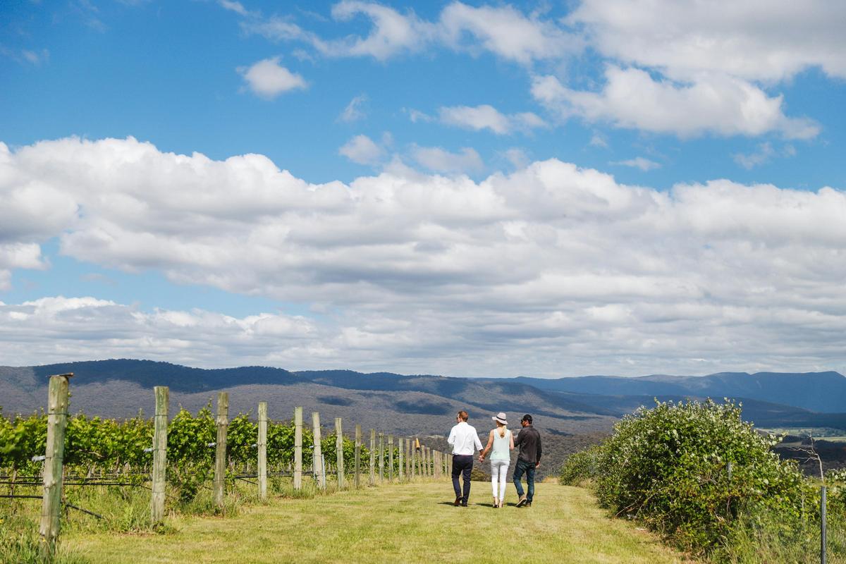 Guided Wine Tour