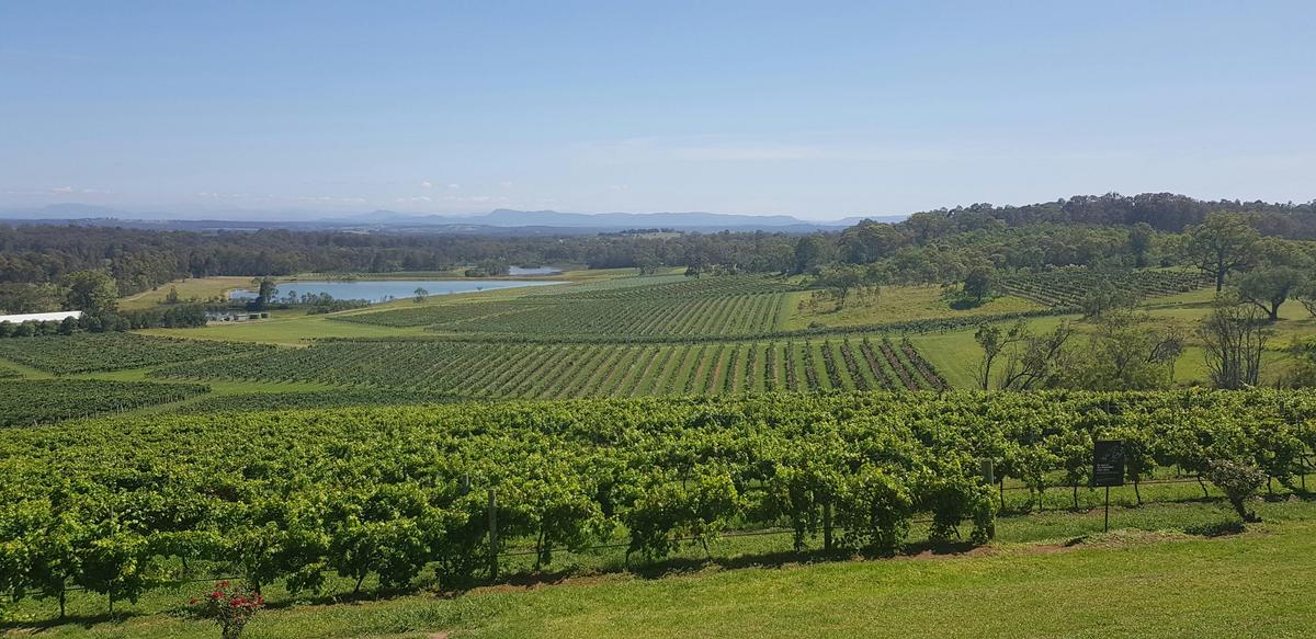 Sydney Luxury Tour Hunter Valley