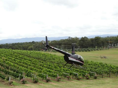 Hunter Valley Helicopter Scenic Flight and Wine Tasting