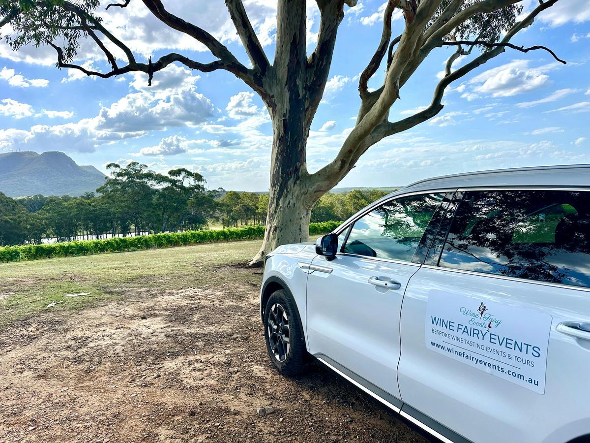 Private Wine Tours