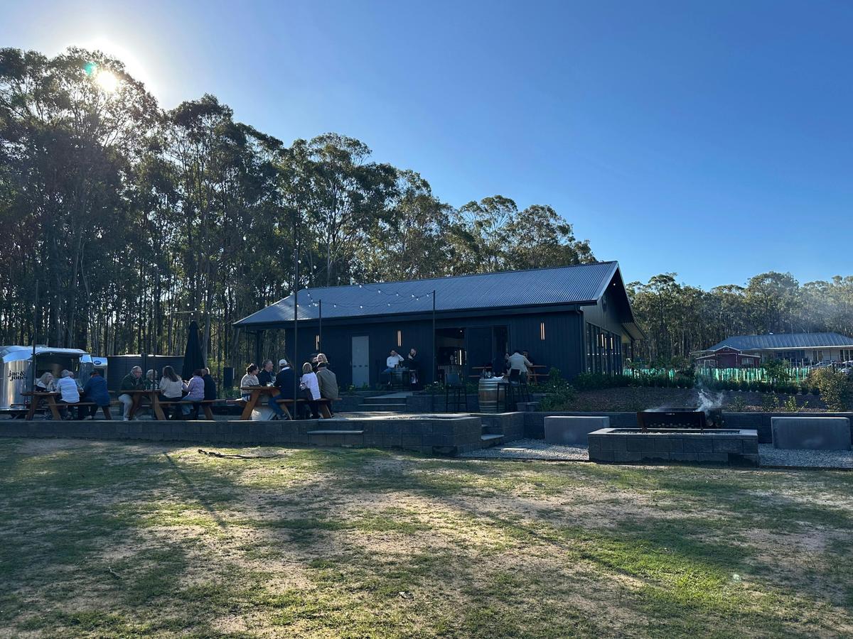 The Wine Fairy Graze & Sip Tour All-Inclusive