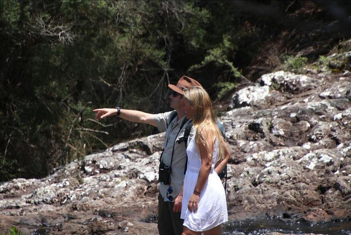 Rainforest Tour Byron Bay