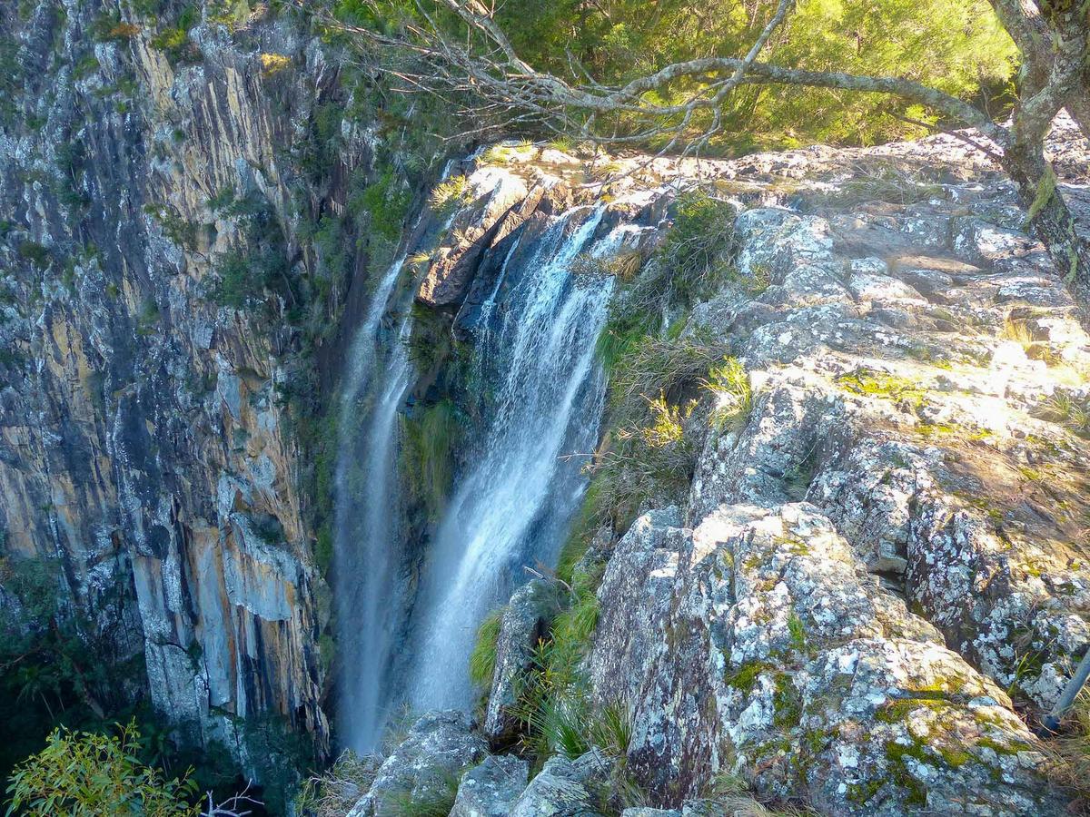 Rainforest Tour Byron Bay