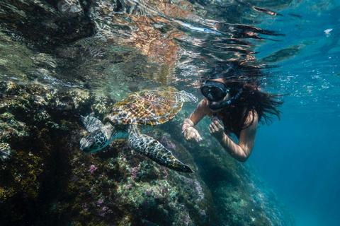 Snorkelling Byron Bay