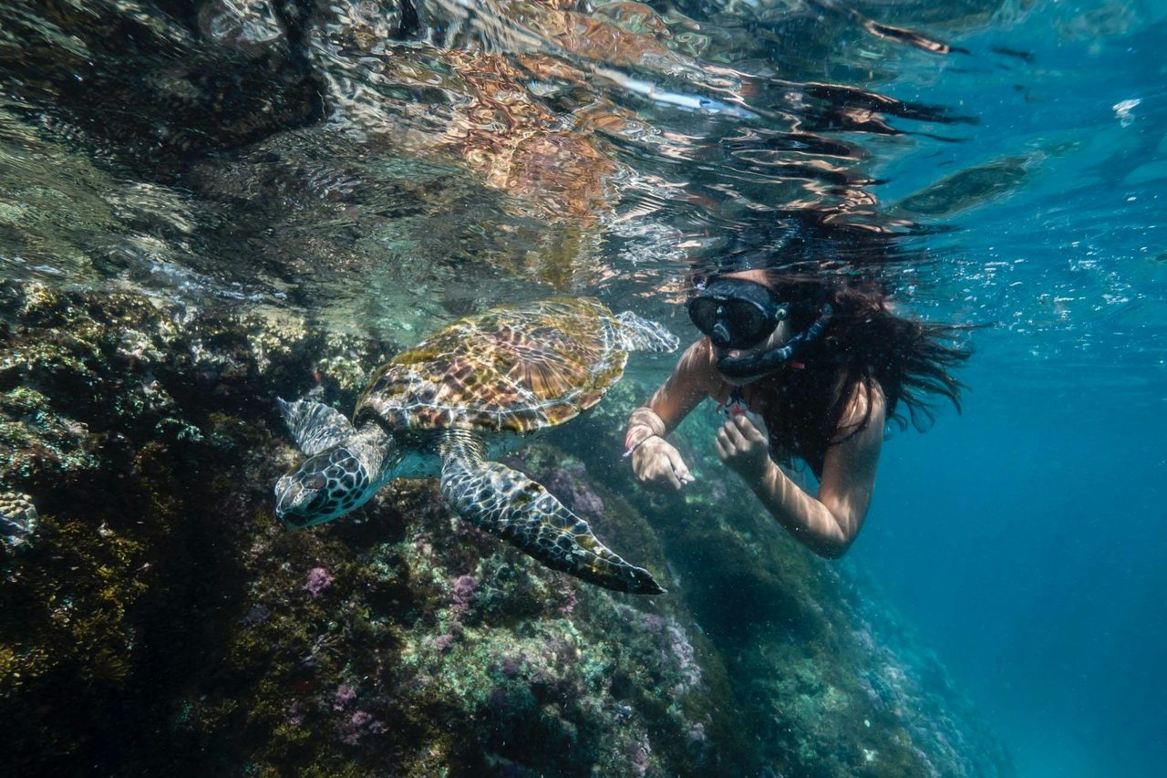 Snorkelling Byron Bay