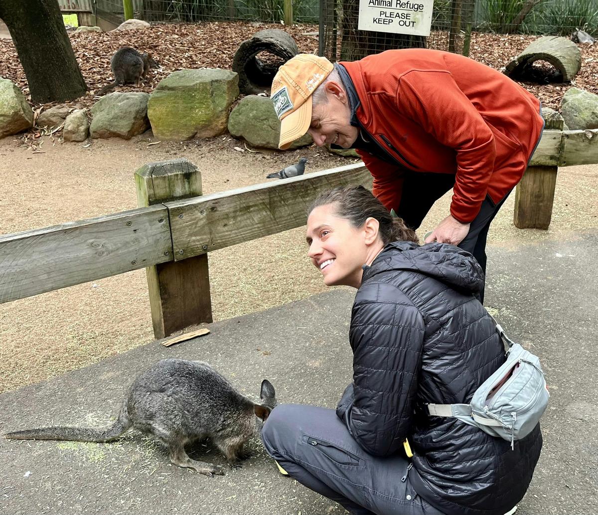 Feeding a wallaby