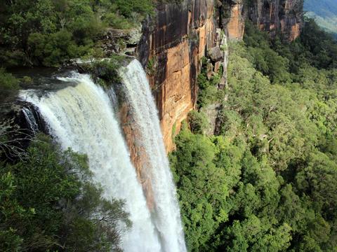 Fitzroy Falls