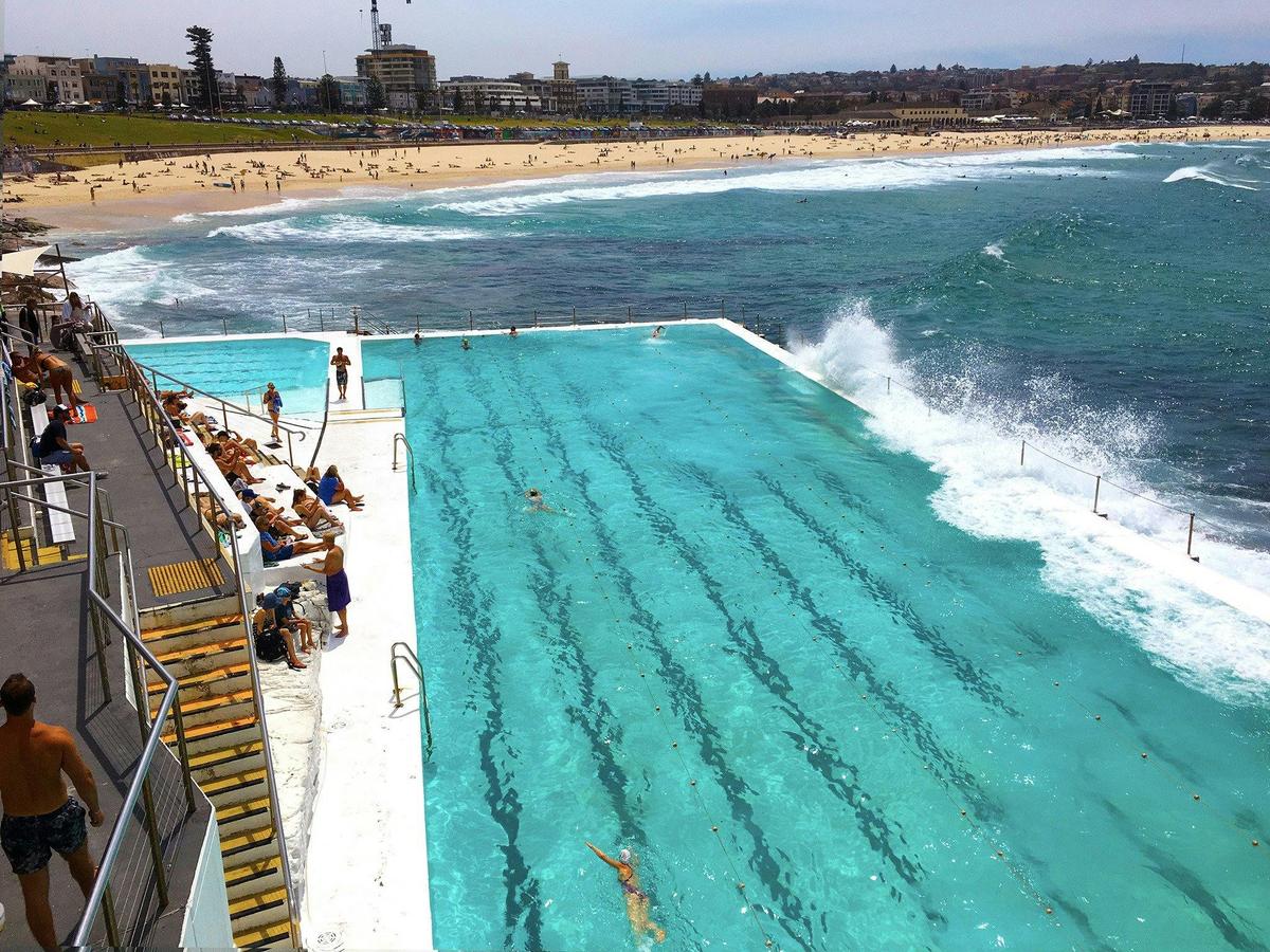 Bondi Icebergs