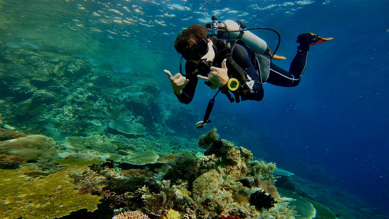 Learn to dive with the best