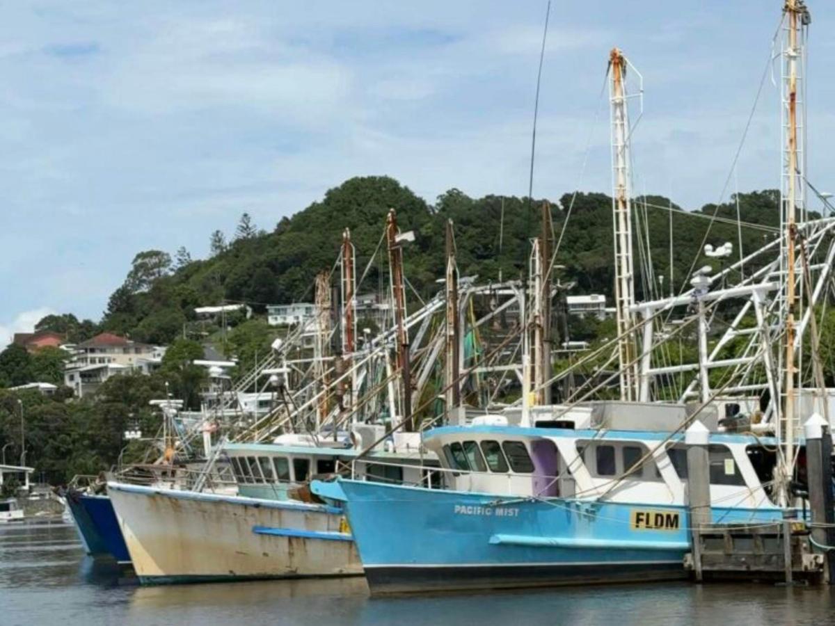 Cruise past our local trawler fleet